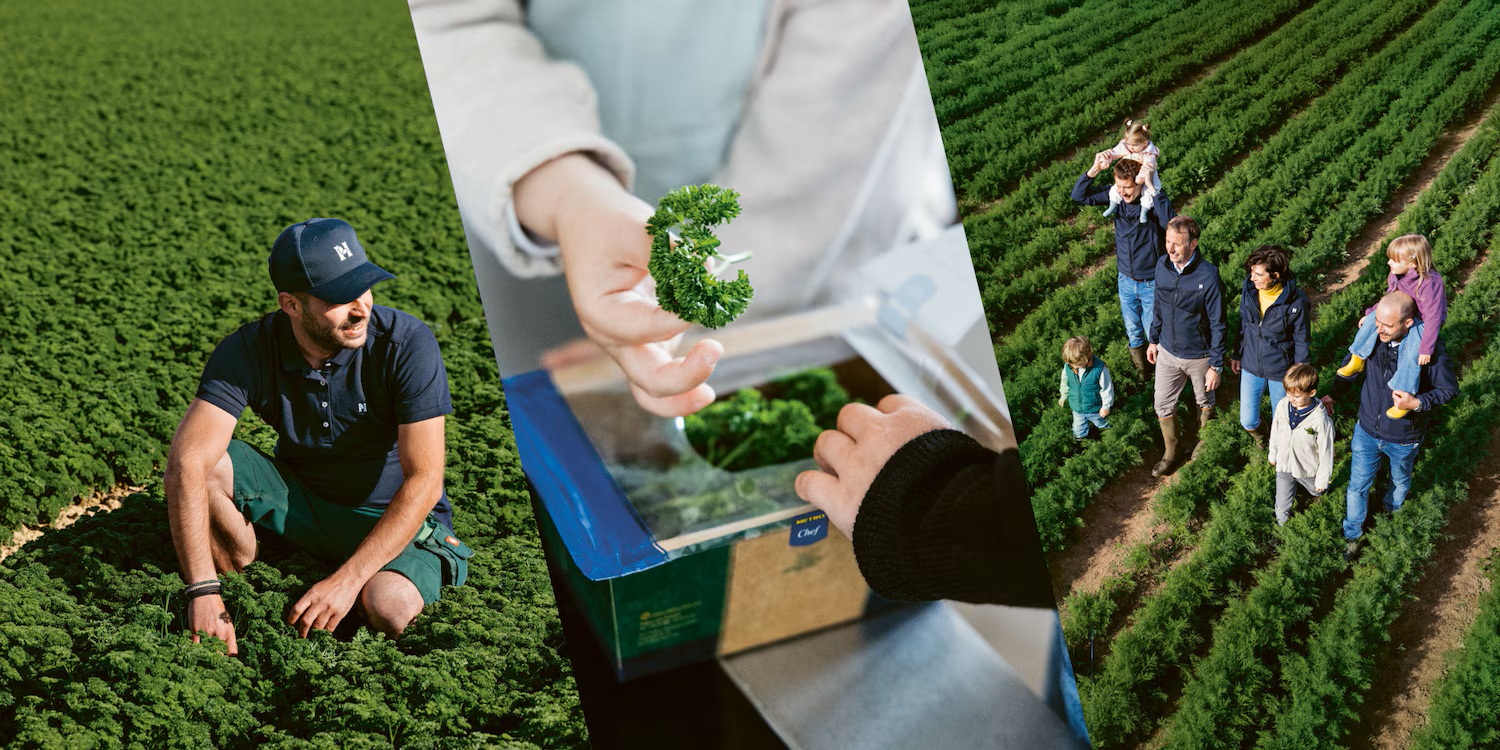 Cover Image for Metro AG: mit einem einfachen Job gut verdienen