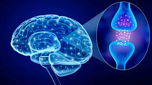 Cover Image for “The Ghost in the Wires”: A “Solved” Toxin’s Link to Neurological Disease