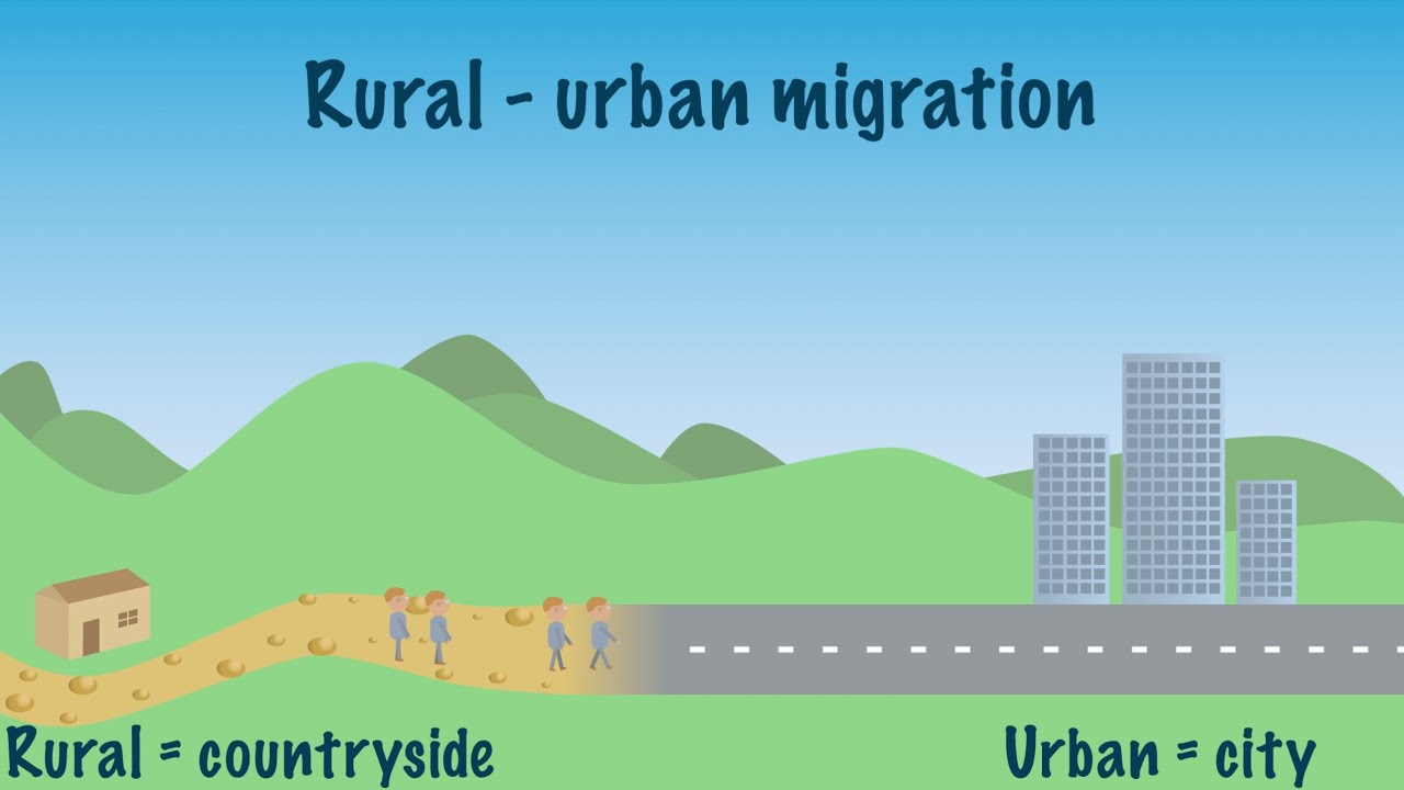 Cover Image for Urban Development Shifts as Migration Patterns Evolve